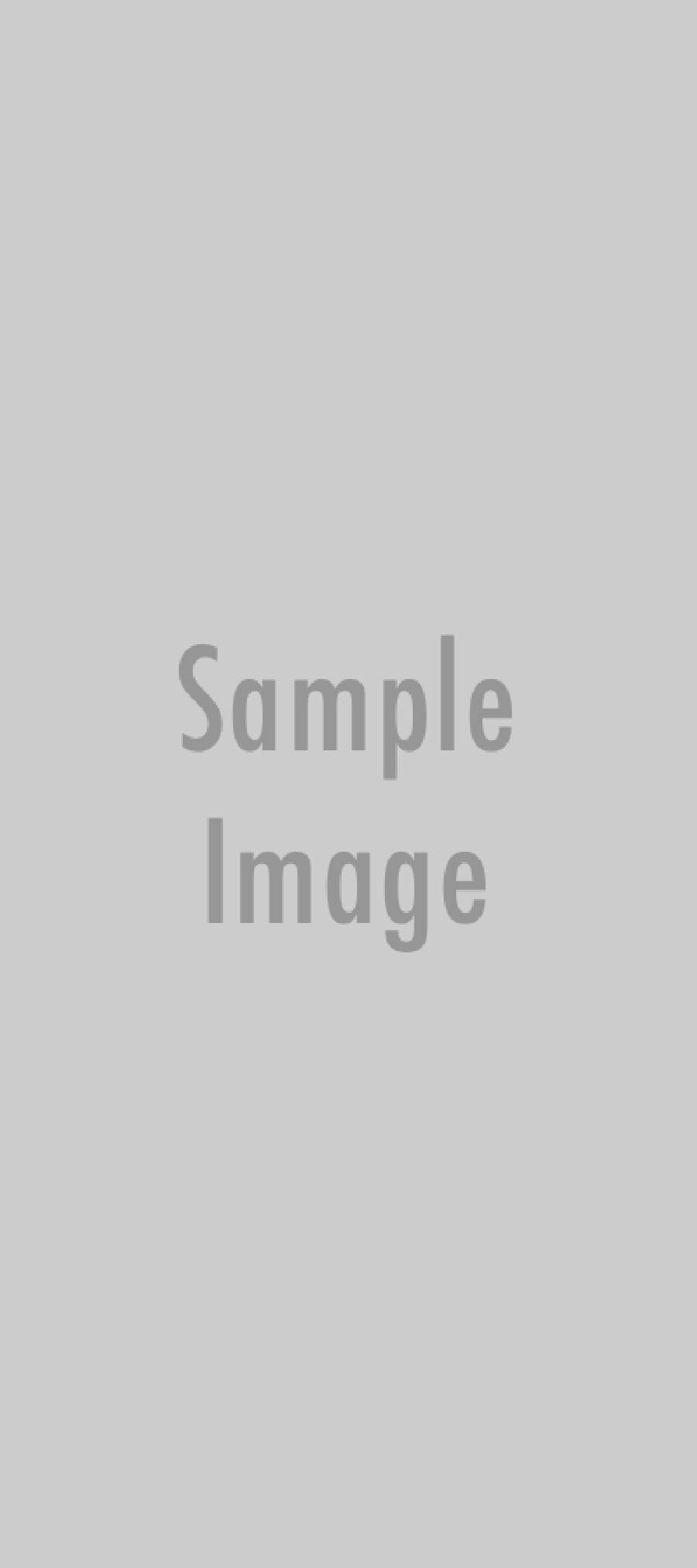 Donec magna risus